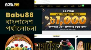 Babu88: বাংলাদেশ পর্যালোচনা